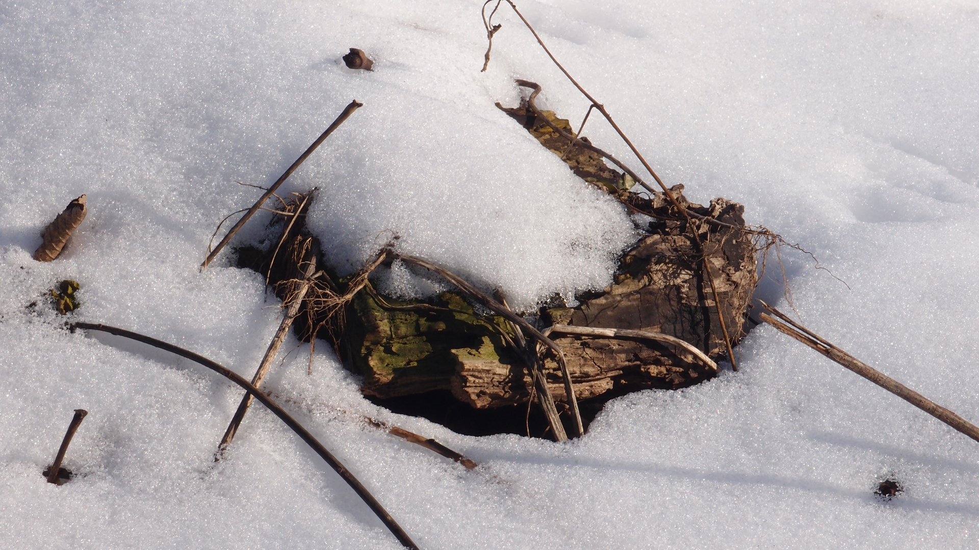 2021-01-30 Wasser in der Sple II, On-Off (Remix John Cage 'Sonatas & Interludes') (Komposition, Remix, Recording, Foto)